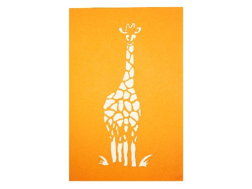 AM13 Buy Wholesale Retail 3d Pop Up Greeting Cards 3d Foldable Customize Birthday Animal Giraffe Pop Up Card (3)