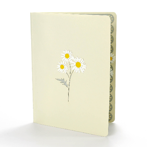 buy mothers day 3d Pop up cards daisy-flowers-pop-up-card (2)