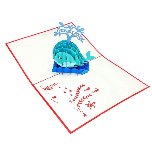 CG06 Buy 3d Pop Up Greeting Cards Congratulations day 3d Foldable Whale Pop Up Card (4)