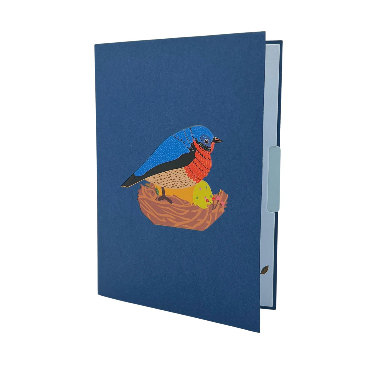 mother's day pop up card bluebird keeping eggs warm cover